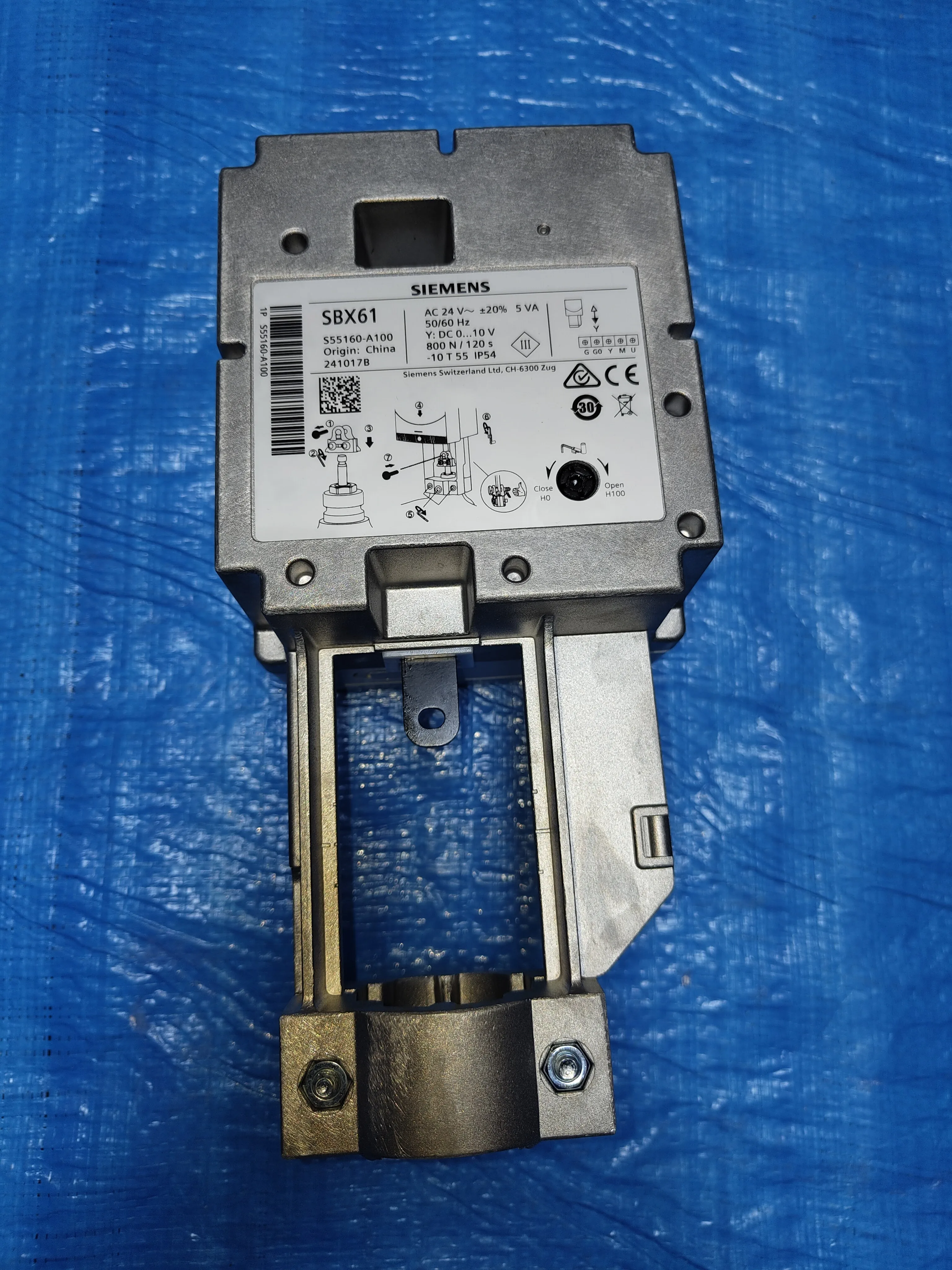 Globe valve assembly