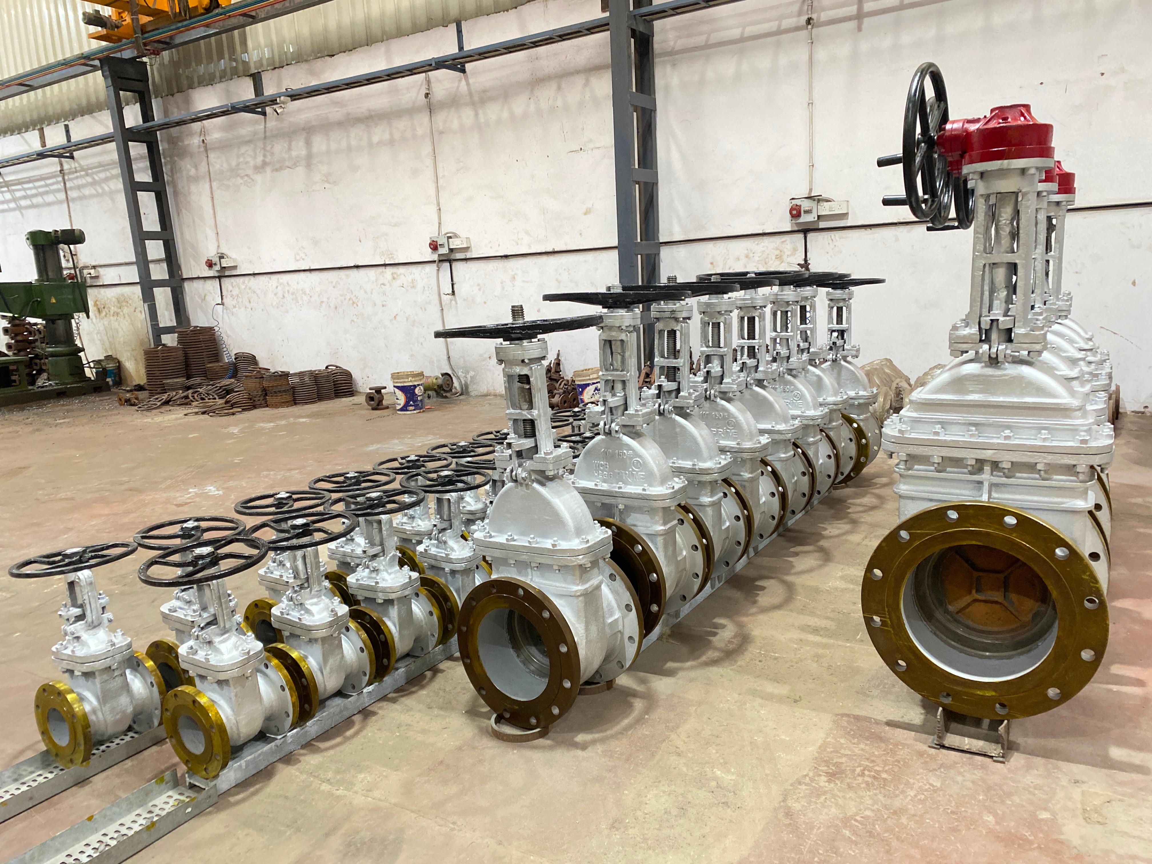 IBR Certified Globe Valves India