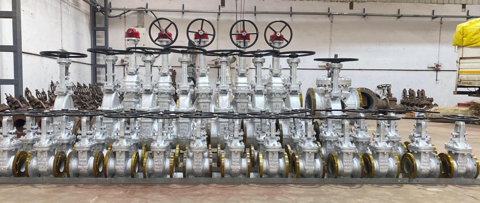 Graphite Seal 150mm Rajasthan