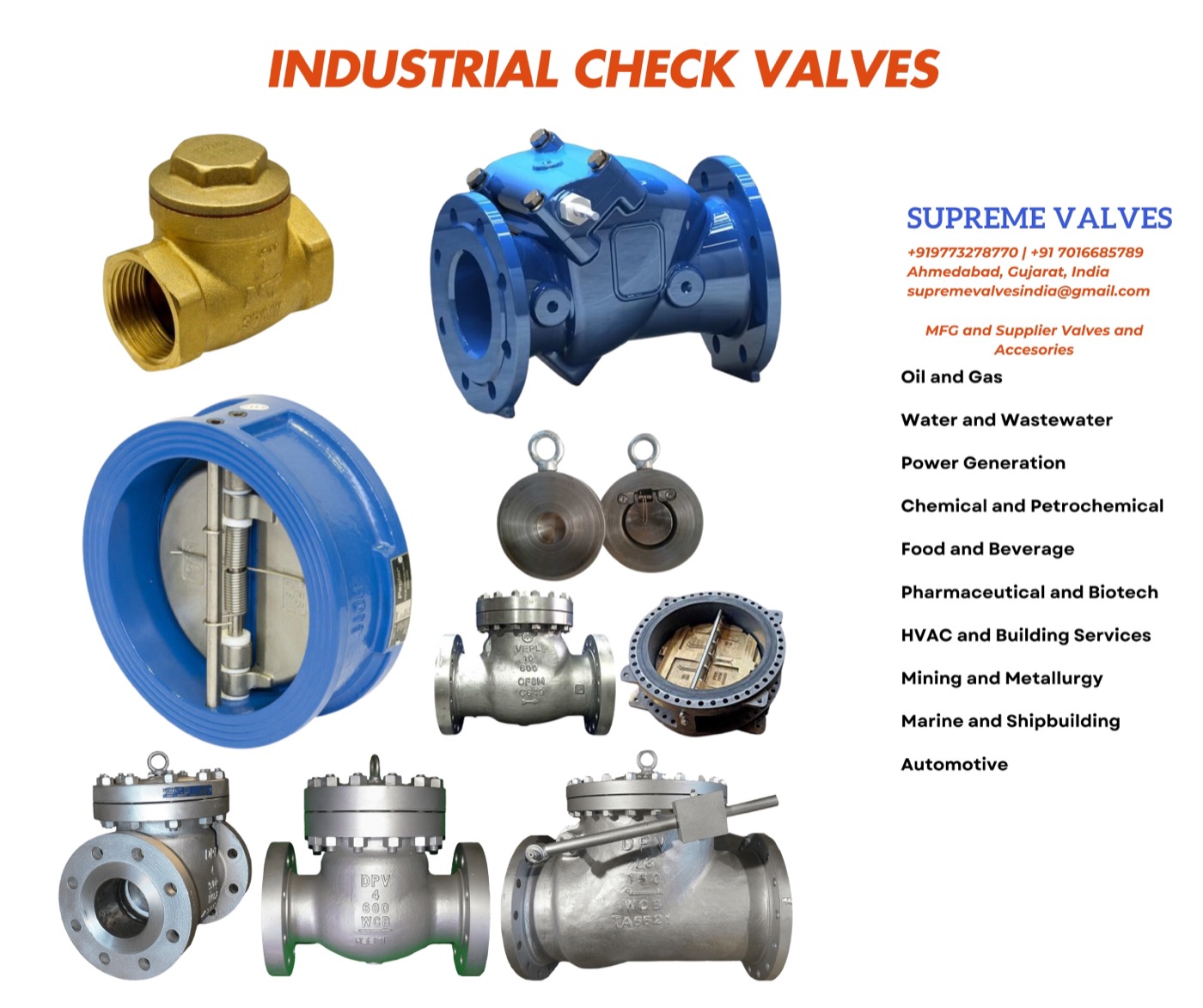 IBR WCB Check Valve 2 inch Class 300 ASTM A216 WCB