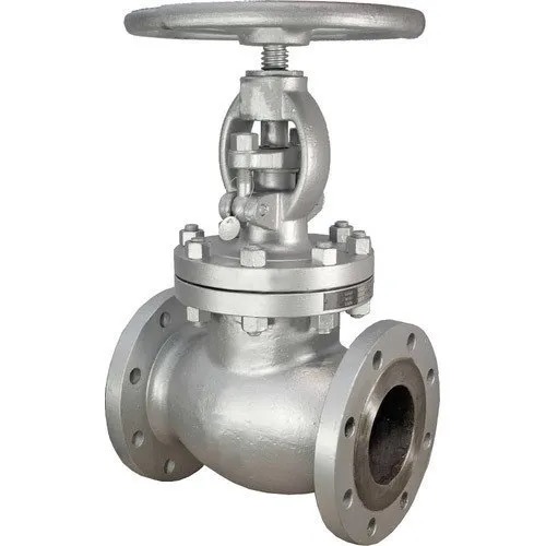WCB Globe Valve 10 inch Class 150