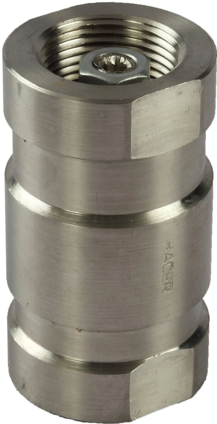 SS 304 NRV Vertical Non-Return Valve BSP